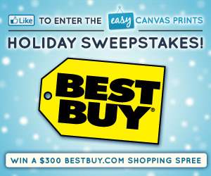 Enter to Win a $300 Best Buy Gift Card!