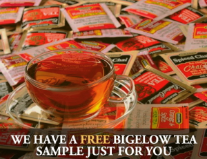 FREE Bigelow Tea Sample (Facebook)