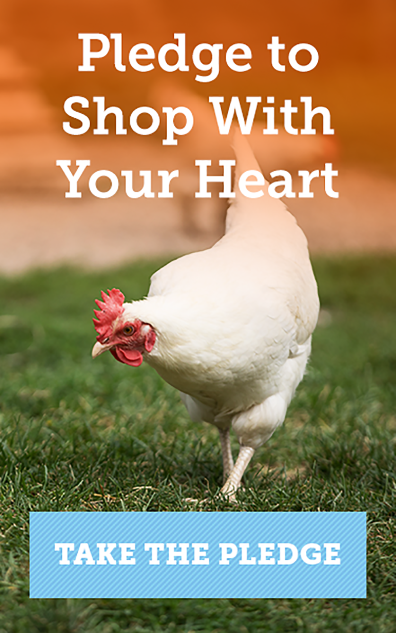 ASPCA Shop with Your Heart