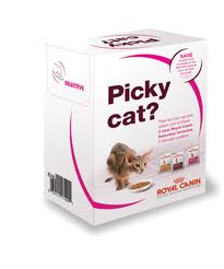 Free Sample of Royal Canin Cat Food
