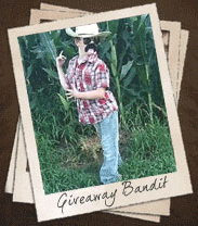 Giveaway Bandit Wins Top Honors in Mom Business Competition