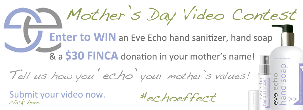 Enter to win Eve Echo Hand Soap and Sanitizer – Make a Difference
