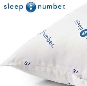 Free Sleep Number® Travel Pillow
