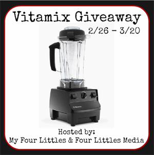 Vitamix Blender Giveaway Valued at $449!