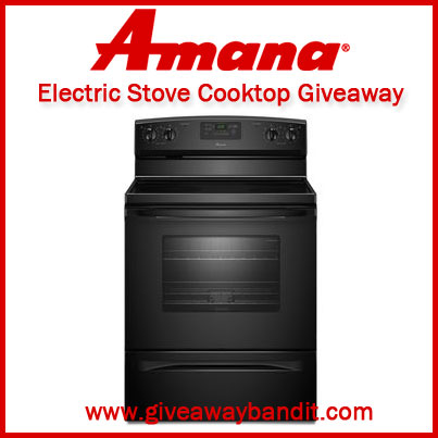 Amana 4.8 cu. ft. Electric Stove w/ Spillsaver Cooktop Giveaway