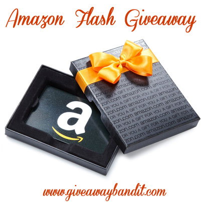 Amazon Gift Code Flash Giveaway 11/27/13