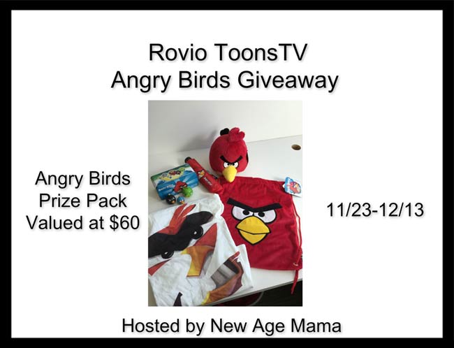Rovio ToonsTV Angry Birds Giveaway