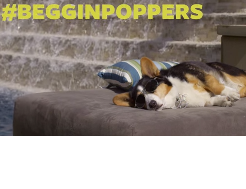 Purina Beggin’ Party Poppers Funny Dog Rap