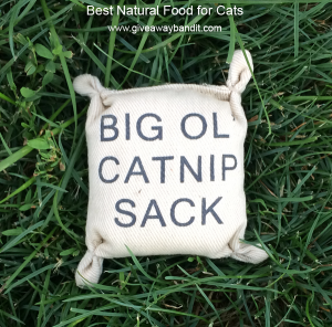 Big Ol' Catnip Sack