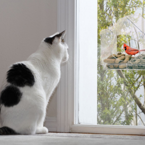birds-i-view window feeder