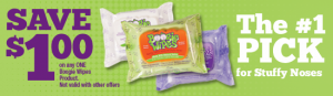 Boogie Wipes Giveaway