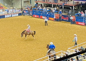 Mesquite Texas Rodeo