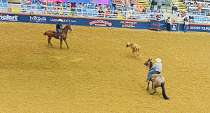 Mesquite Texas Championship Rodeo
