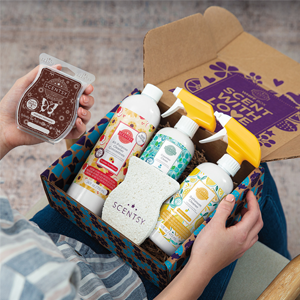 Scentsy whiff box monthly subscription